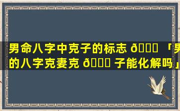 男命八字中克子的标志 🐛 「男的八字克妻克 🐝 子能化解吗」